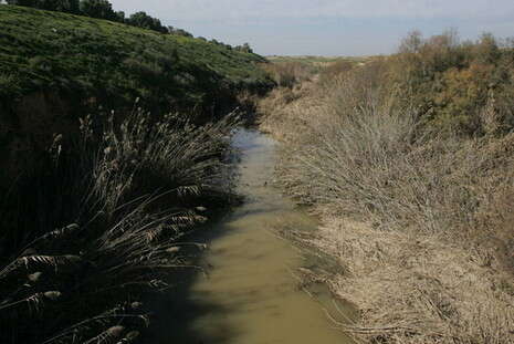 צילום: יהודה לחיאני צילום: יהודה לחיאני