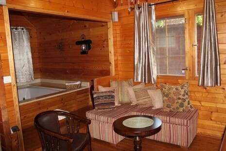 סשה אלכוב סשה אלכוב