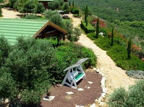 סשה אלכוב סשה אלכוב