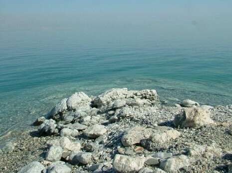 דובי זכאי דובי זכאי