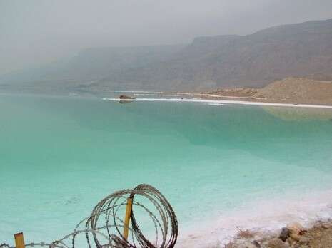 דובי זכאי דובי זכאי