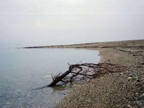 דובי זכאי דובי זכאי