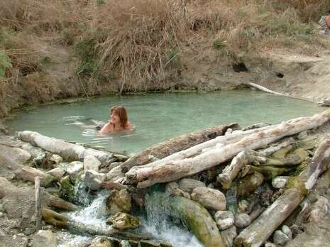 דובי זכאי דובי זכאי