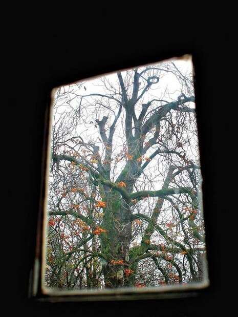 צילום: רויטרס צילום: רויטרס