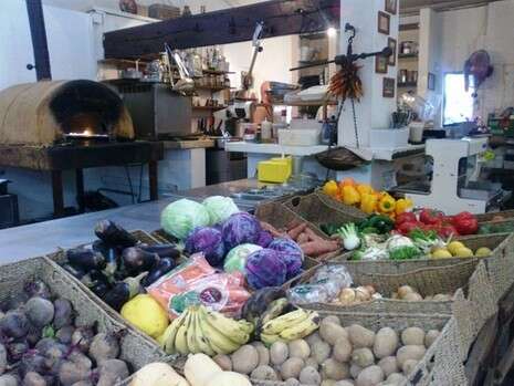 יערה רובינזון יערה רובינזון