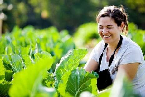 דניאל לילה דניאל לילה