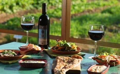 דניאל לילה דניאל לילה