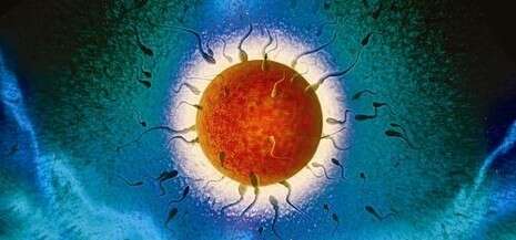 צילום: גטי אימג'ס צילום: גטי אימג'ס