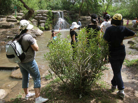צילום: חמד אלמקת צילום: חמד אלמקת