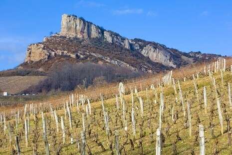 שאטרסטוק שאטרסטוק
