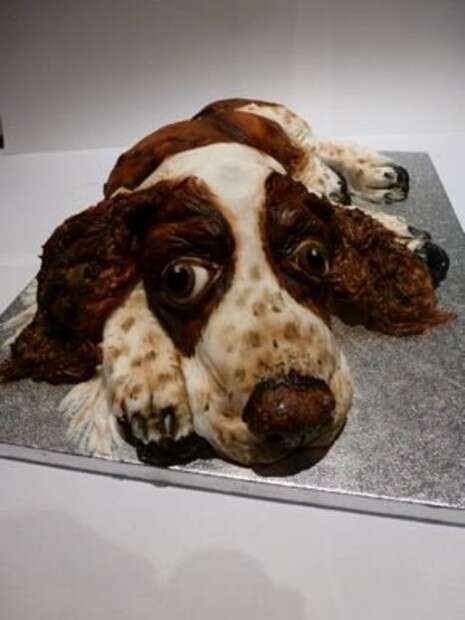  Cake Doggy Dog