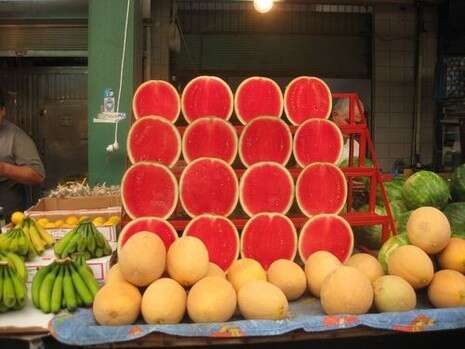 צילום: יערה רובינזון צילום: יערה רובינזון