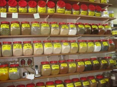 צילום: יערה רובינזון צילום: יערה רובינזון