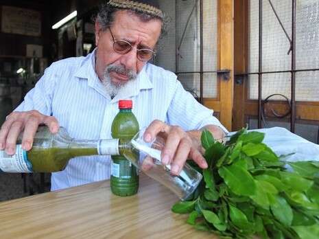 צילום: אלי דסה צילום: אלי דסה