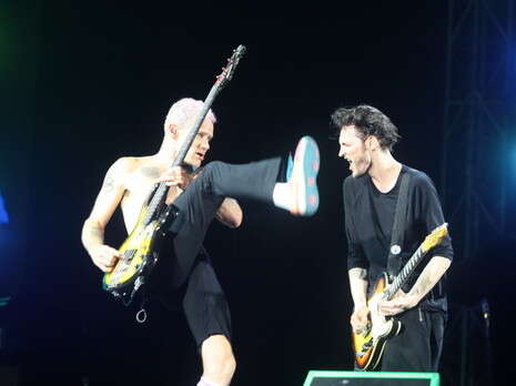 אמיר מאירי אמיר מאירי