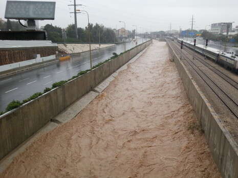 צילום: אבשלום ששוני צילום: אבשלום ששוני