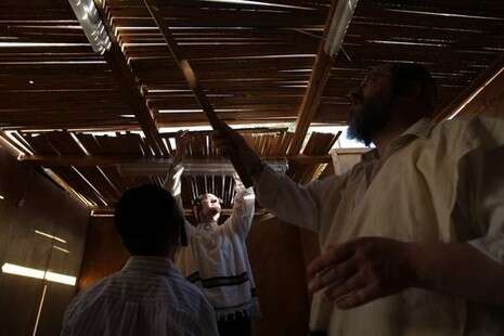 צילום: פלאש 90 צילום: פלאש 90