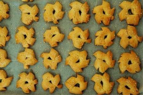 צילום: ראובן קסטרו צילום: ראובן קסטרו