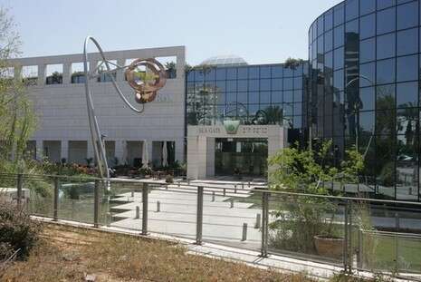 צילום: רענן כהן צילום: רענן כהן