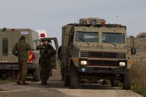 צילום: חמד אלמקאת צילום: חמד אלמקאת