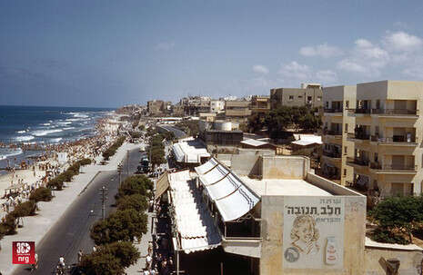 :   ' White City Tel Aviv