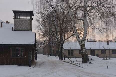 : Auschwitz Birkenau State Museum Musealia