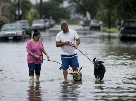 : AFP