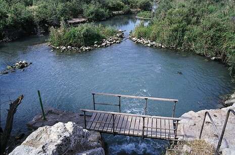 עמותת כרמלים עמותת כרמלים
