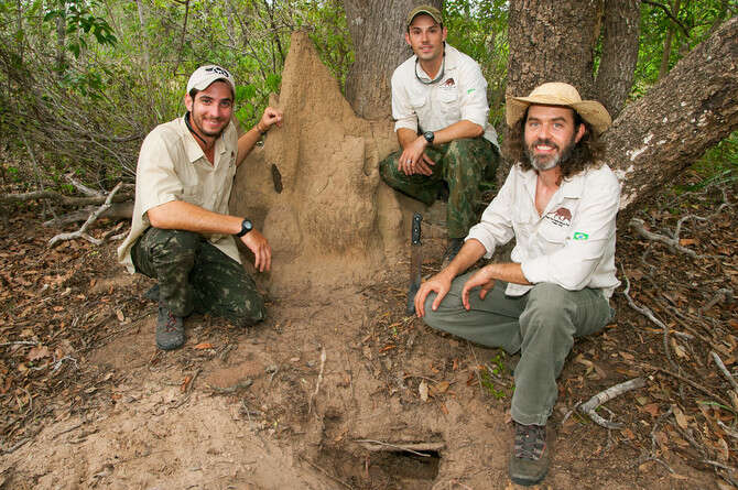 צילום: קווין שייפר צילום: קווין שייפר