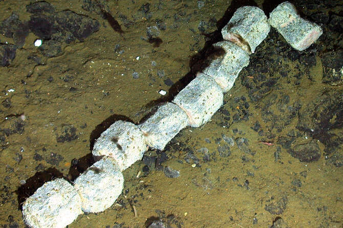 צילום באדיבות NERC ChEsSo Consortium צילום באדיבות NERC ChEsSo Consortium