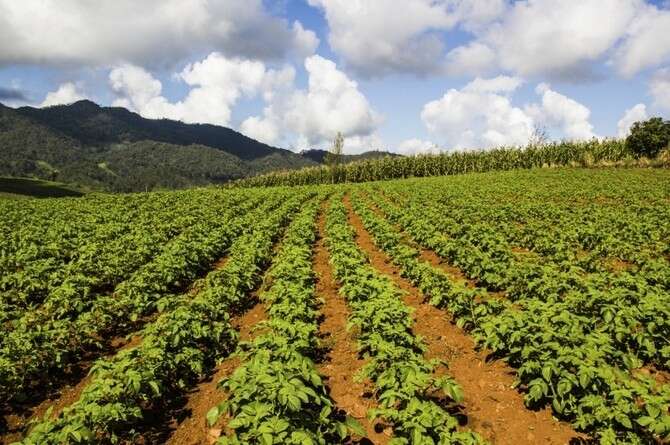 צילום: THINKSTOCK צילום: THINKSTOCK