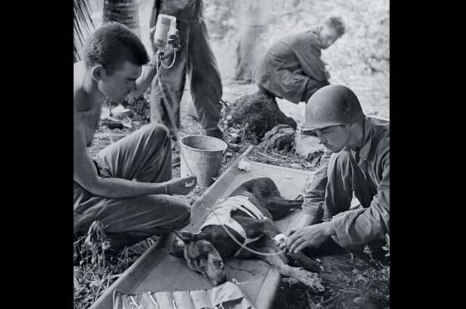 : W. Eugene Smith, Time and Life Pictures,Getty Images