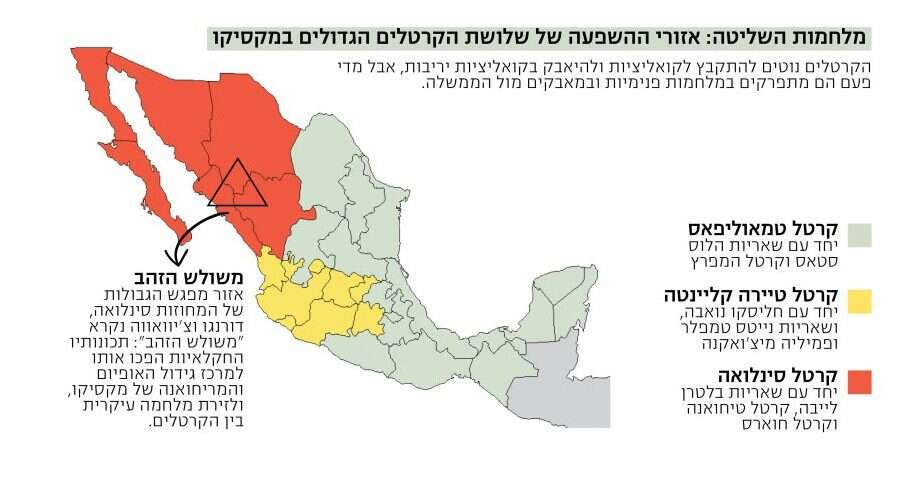 איור: שאטרסטוק 